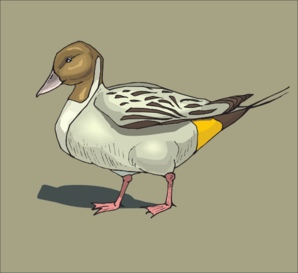 Duck With Brown Background Clip Art